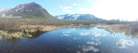 20160527_145849_Pano
,.jpg