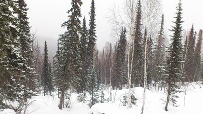 Resize of DSC_1606.JPG