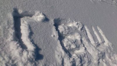 Resize of DSC_1626.JPG