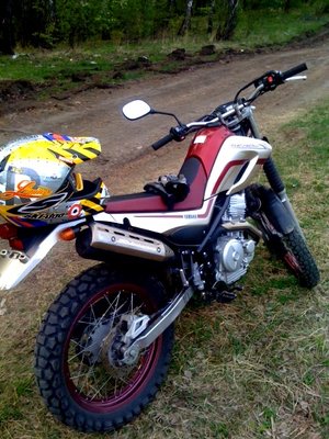 yamaha 250.JPG