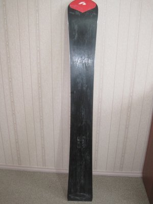 IMG_4489 (480x640).jpg