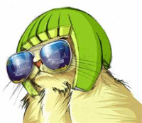 melon cat.jpg