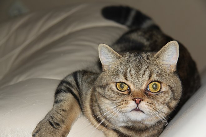 IMG_3769 - копия.JPG