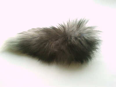 2011-11-30 13.05.52.jpg