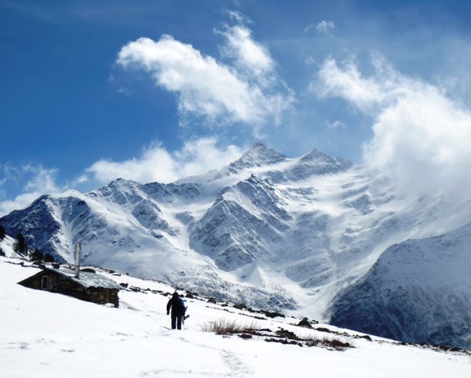 Одинокий бордер