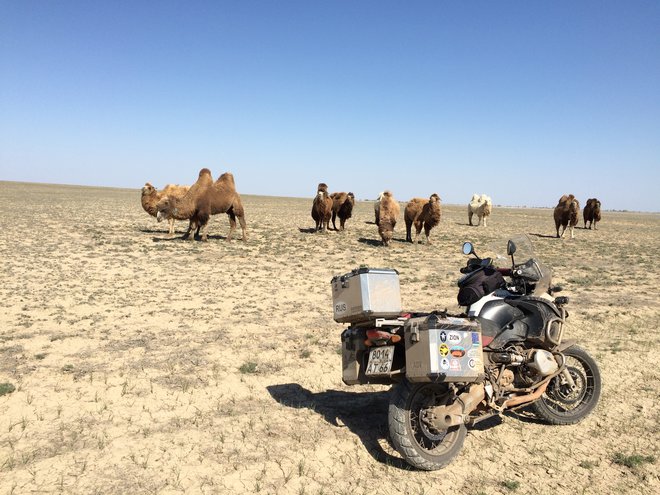 Степи Казахстана