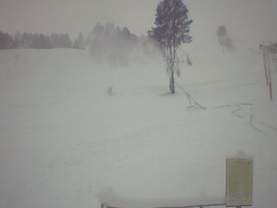 Пушки пылят снег. 17.01.2012_8.32